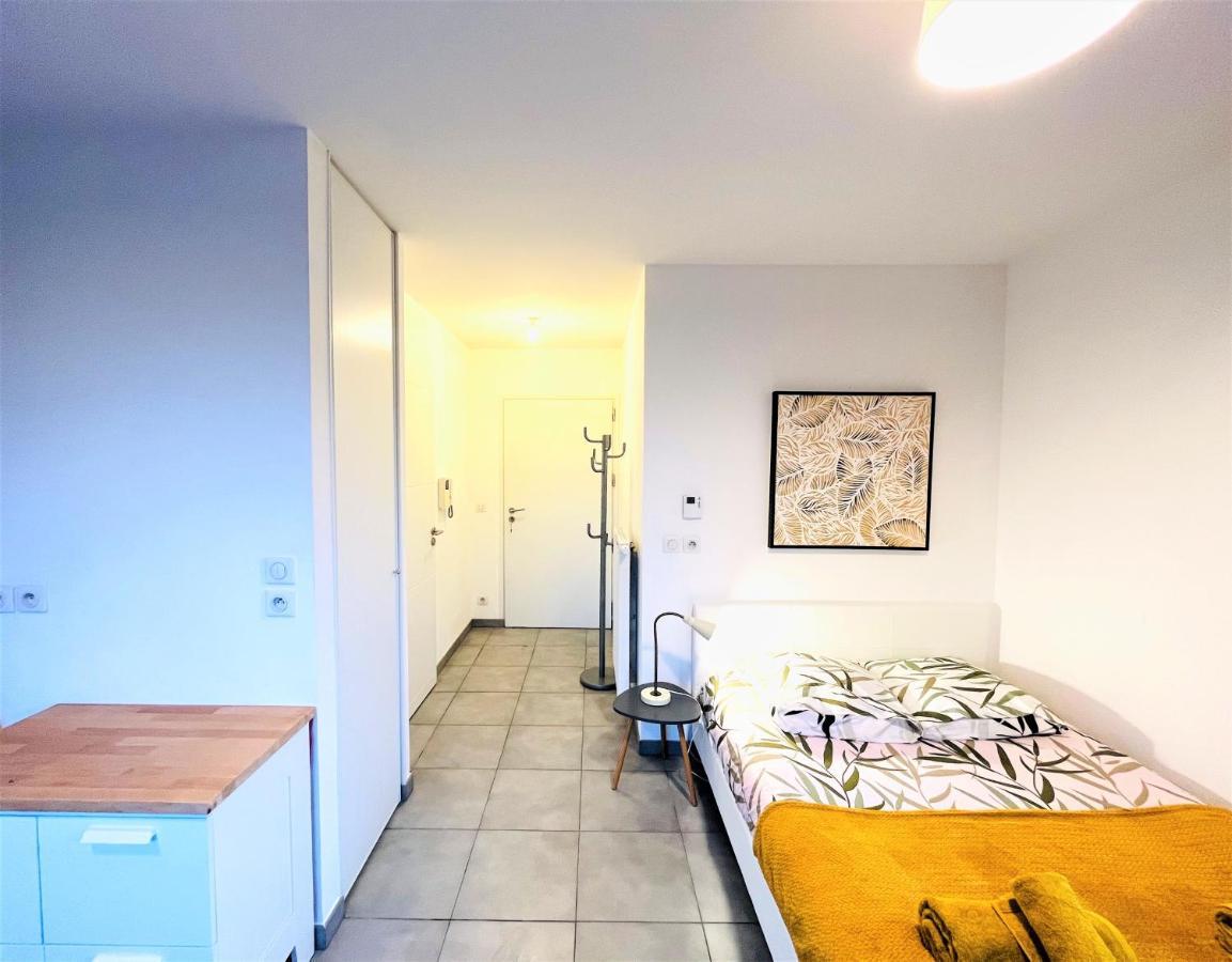 안시 Le Bellevue A 10Min Du Centre A Pied 아파트 외부 사진